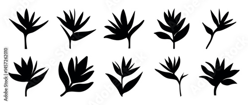 Elegant Silhouette Illustration of Tropical Flower Arrangements, Perfect for Backgrounds and Designs