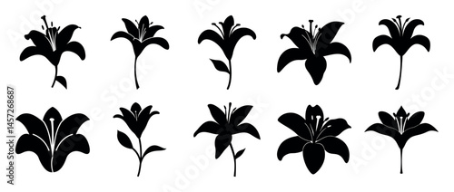 Ten lily flower silhouettes arranged in two rows isolated on white background