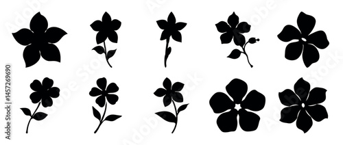 Floral silhouettes of various five petaled flowers in black and white