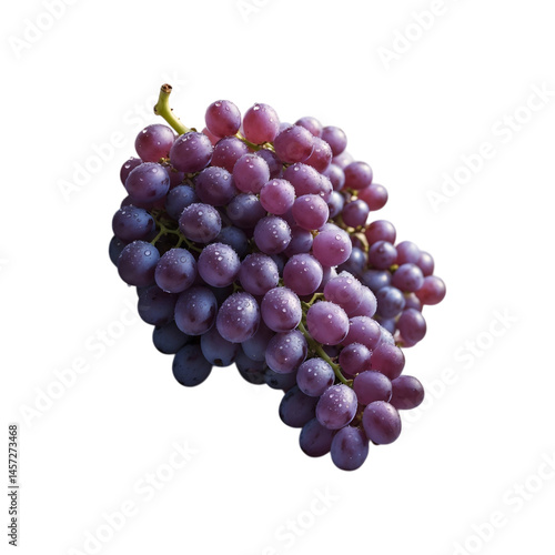 Wallpaper Mural Fresh Purple Grapes Bunch with Dew Drops Isolated Torontodigital.ca