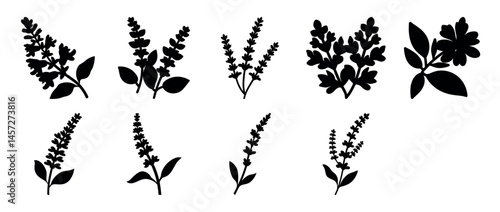 A collection of botanical illustrations depicting floral elements in black silhouette