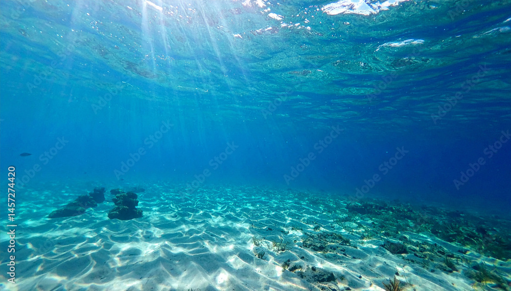 Obraz premium Underwater Photo of the Ocean