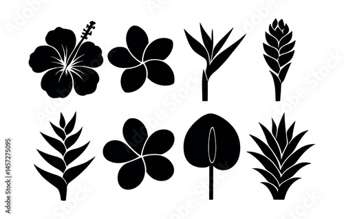 Tropical flower silhouette icons set – hibiscus, plumeria, bird of paradise. Vector icons set