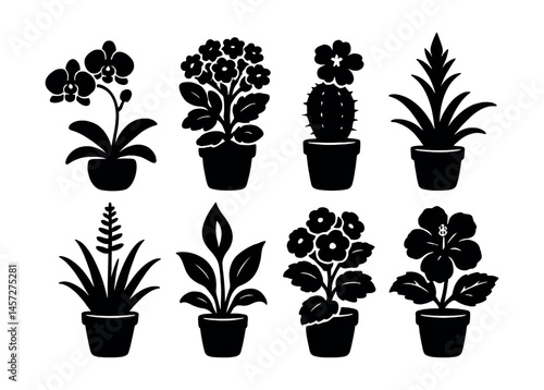 Silhouette flowering plants icons set – orchid, cactus, hibiscus, lily, fern, daisy, rose, aloe. Vector icons set