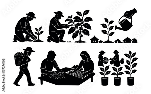 Coffee cultivation icons set – planting, harvesting, watering, sorting, growth, farmers, silhouettes. Vector icons set