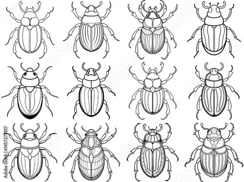 Scarab beetle outline vector illustration isolated on white background.