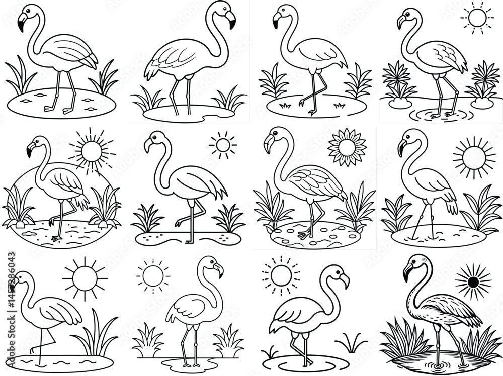 Flamingo wading outline vector illustration isolated on white background. Flamingo wading outline vector illustration isolated on white background.