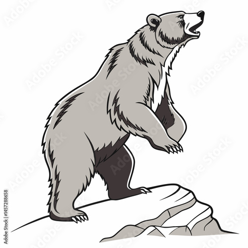 Grizzly bear roaring on a rock