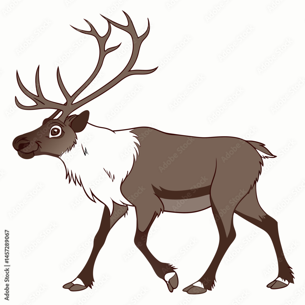 Fototapeta premium Reindeer walking against a plain background