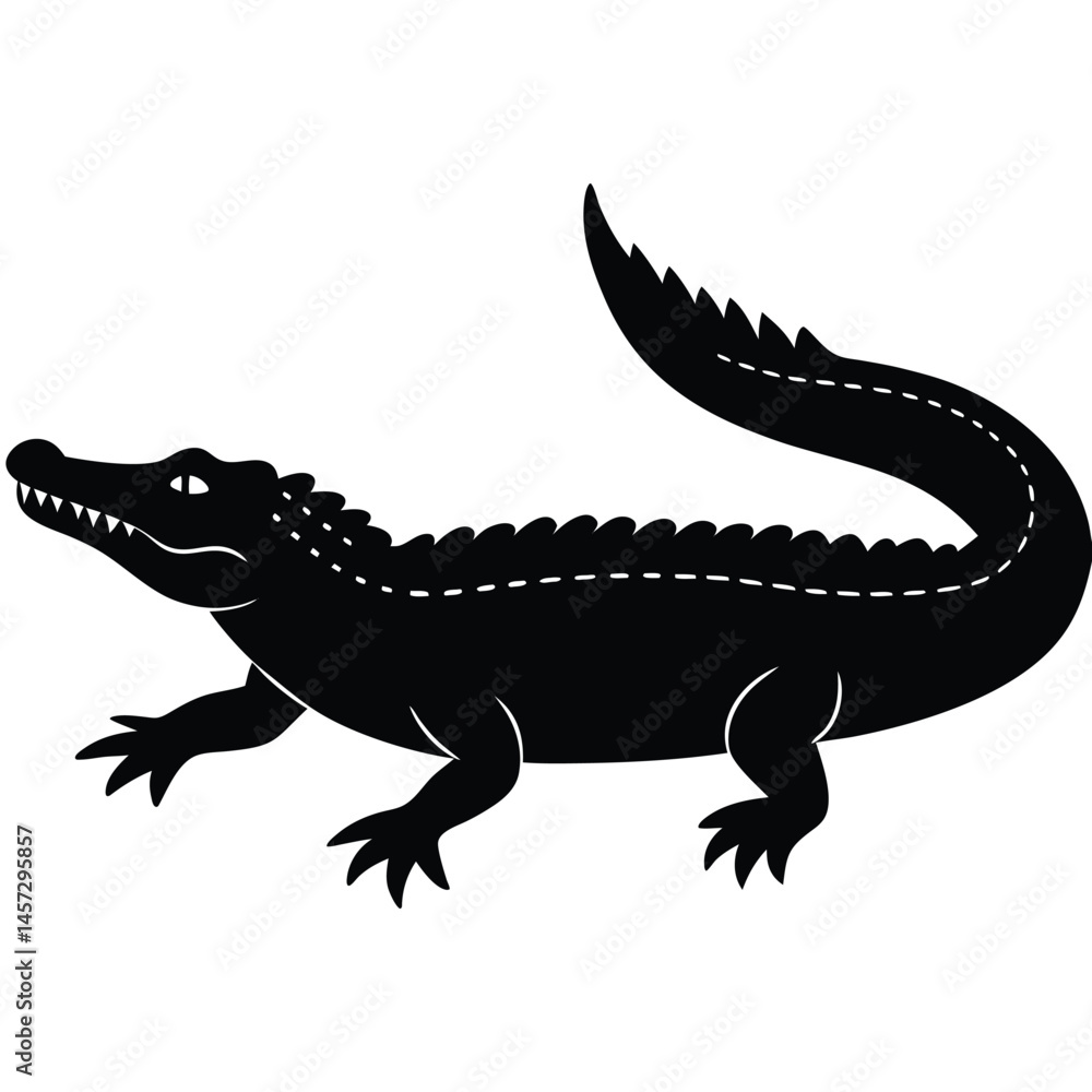 Obraz premium crocodile isolated on white background