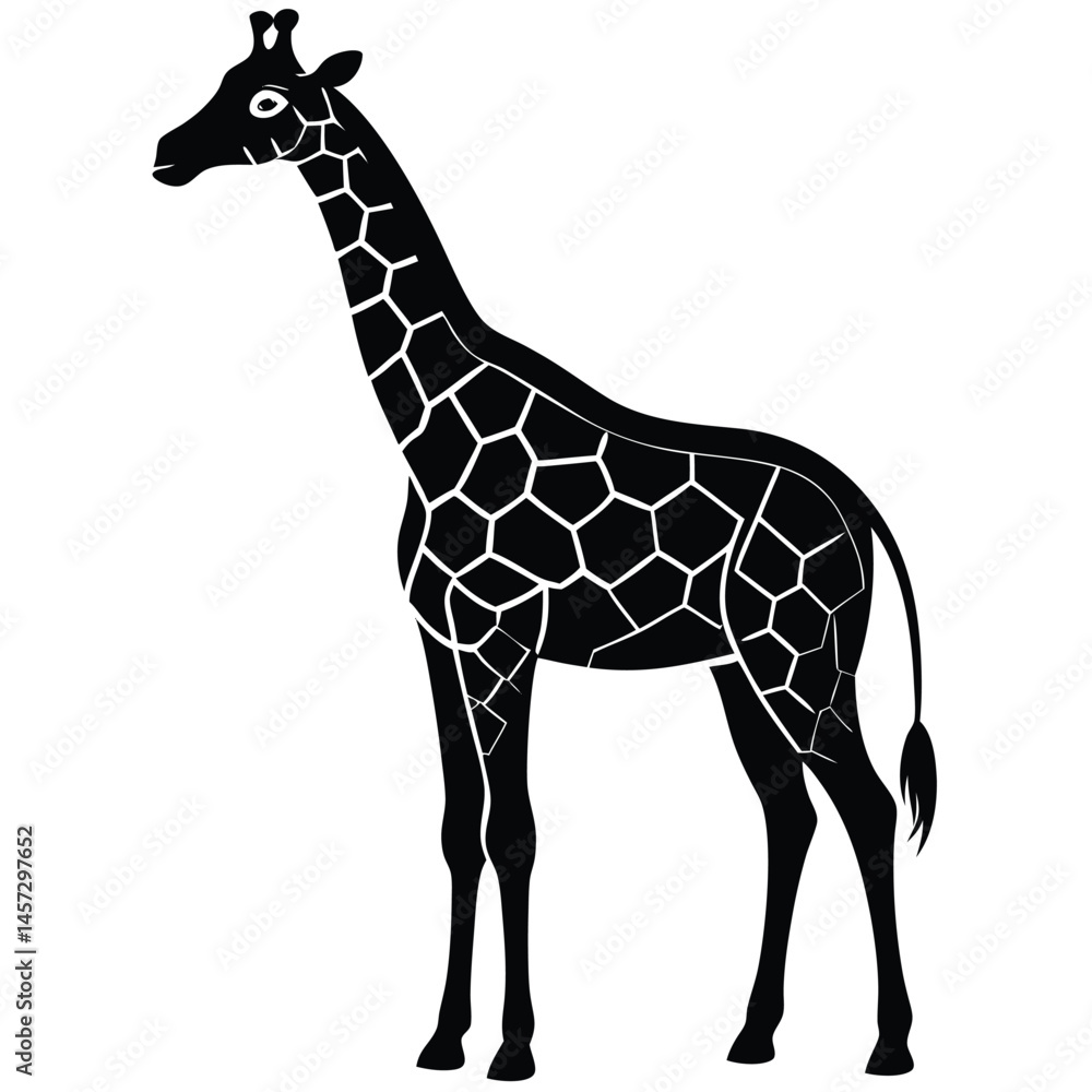 Obraz premium giraffe vector illustration