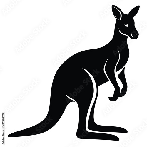 kangaroo vector illustration