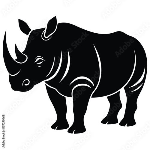 rhino isolated on white