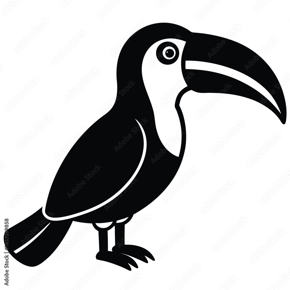 Obraz premium toucan bird vector illustration