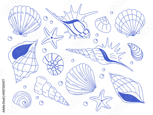 Hand-drawn blue seashells and starfish on a white background. Marine decorative elements for summer designs.