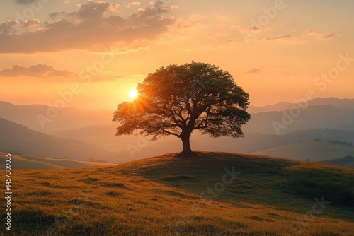 A solitary tree silhouetted against a radiant golden sunset horizon