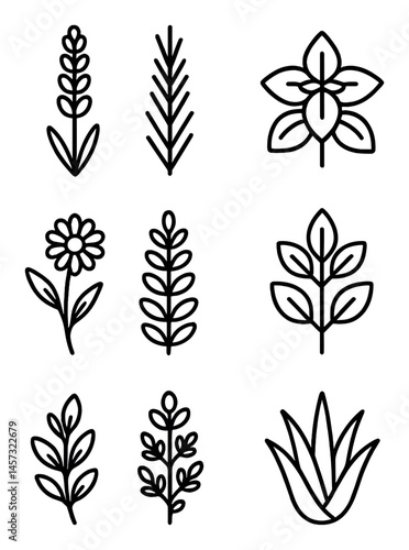 Adobe Illustrator Artwork