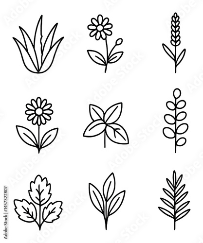 Adobe Illustrator Artwork