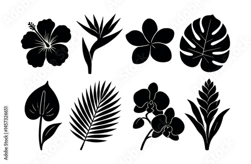 Tropical floral silhouettes icons set – hibiscus, palm, orchid, monstera, anthurium, bird of paradise. Vector icons set