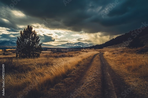 A dirt road winds through a golden, grassy field under a dramatic sky.  A lone pine tree stands sentinel, bathed in warm light. Mountain peaks peek through the clouds