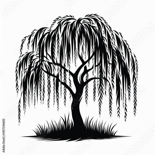 Willow Tree  Silhouette design for high quality , black and white