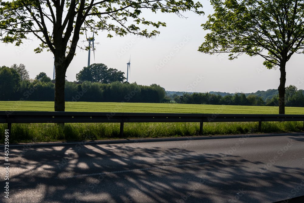 Obraz premium trees in the park