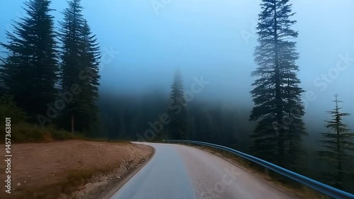 POV Drive Through Foggy Mountain Road and Misty Fir Tree Forest