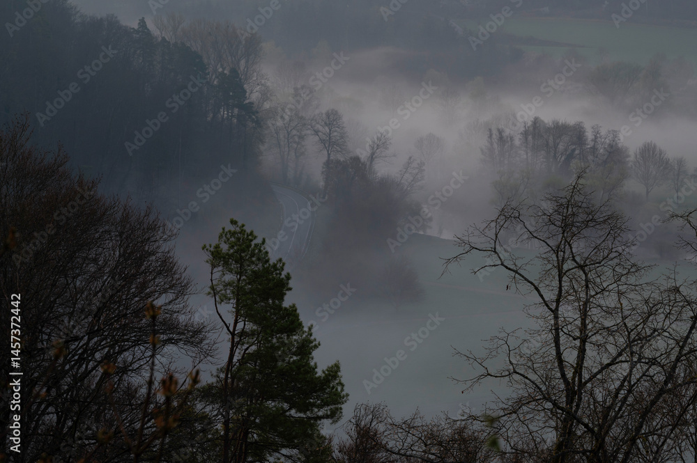 Obraz premium Morning fog in the nature forest with misty clouds in spring.