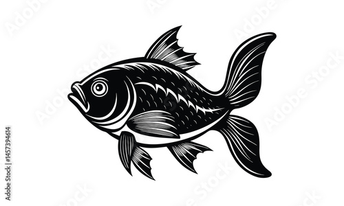 fish on a white background