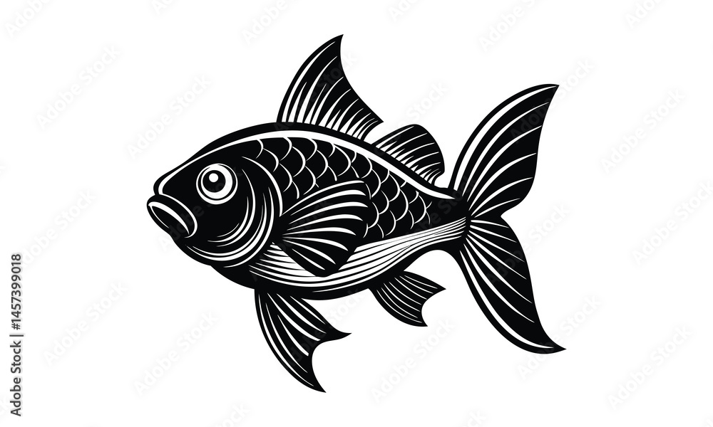fish on a white background fish on a white background