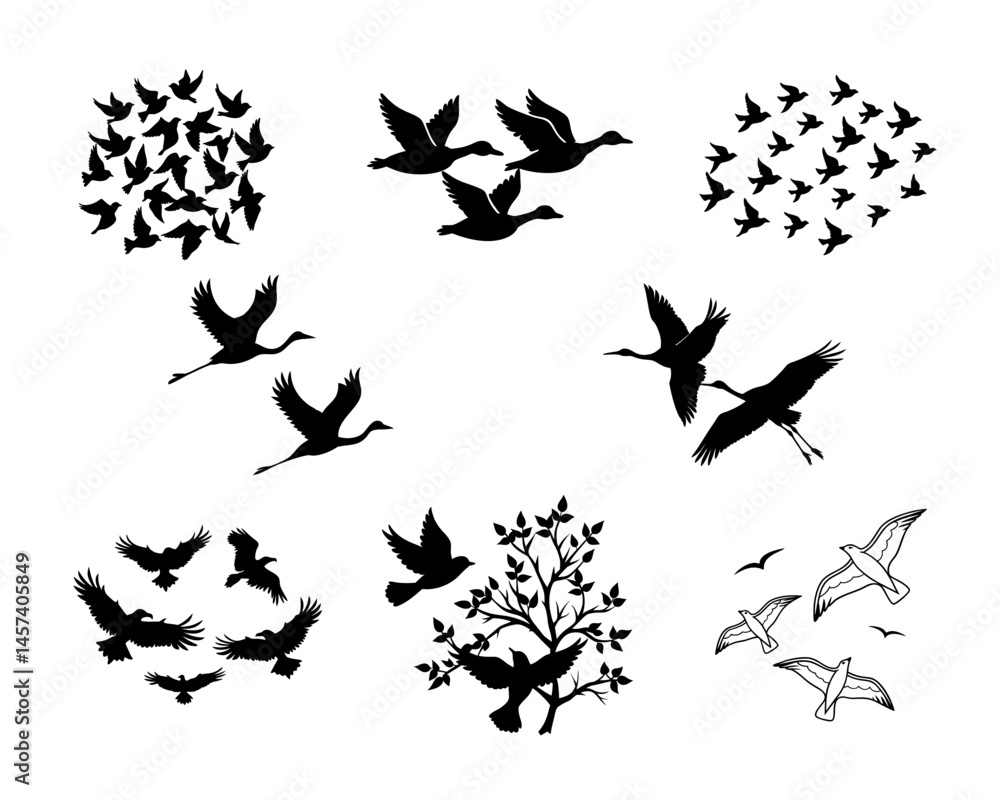 Fototapeta premium Flying Bird Silhouette Vector Set Isolated on White