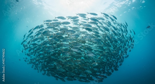 Obraz na płótnie Underwater school of fish forming a circular pattern in clear blue water w salonie