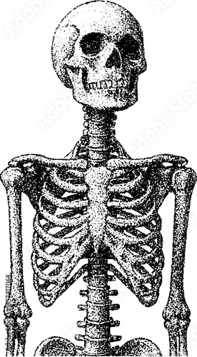 Skeleton, collage element with vintage stipple photocopy effect, with retro grainy texture. Vector illustration for grunge psychedelic surreal poster or tattoo in 90s aesthetic.