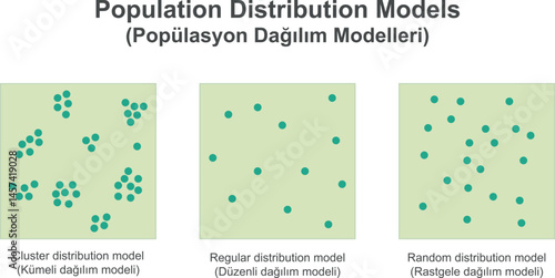 Population Distribution Models, Cluster, Regular, Random distribution. Vector illustration isolated on white background.