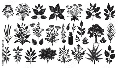 Monochrome Ultra Sharp Tree and Herb Vectors – Transparent PNG