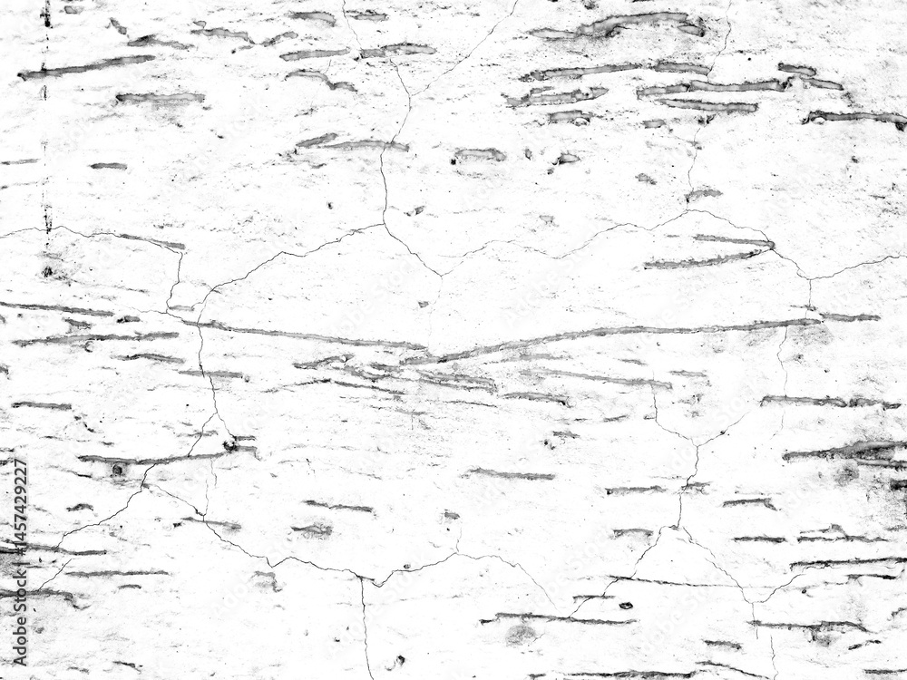 Fototapeta premium Abstract grunge black and white distressed texture overlay effect design element, noise background