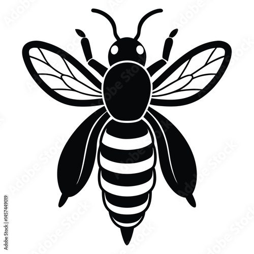 bee and flower