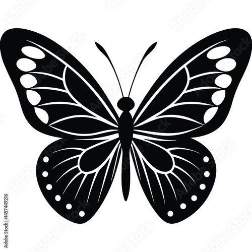 butterfly vector illustration