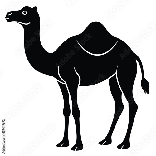 camel isolated on white