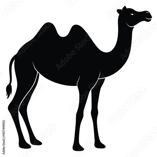 camel in the desert