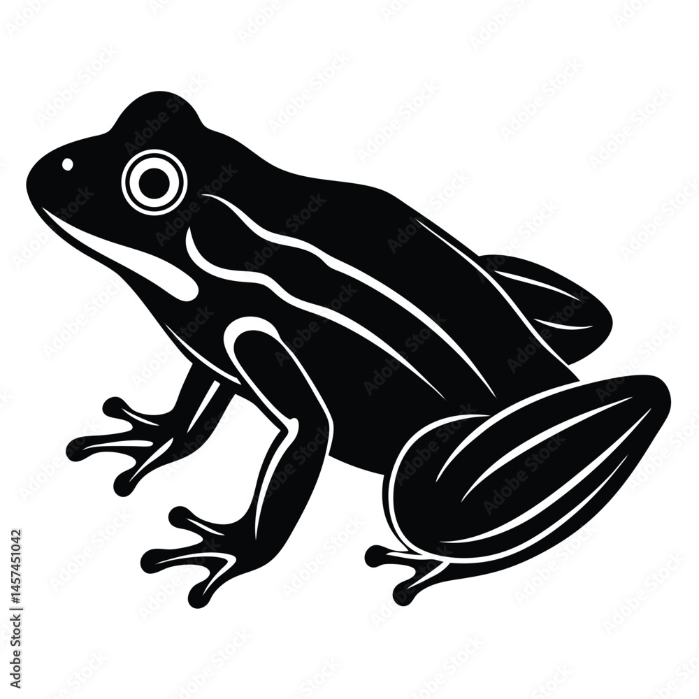 frog on a leaf frog on a leaf