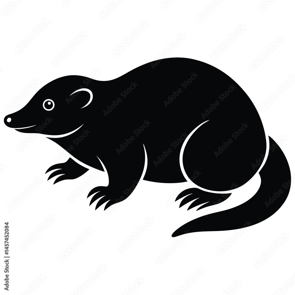 Fototapeta premium vector illustration of a black and white shark