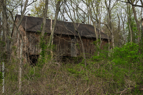 overgrown barn