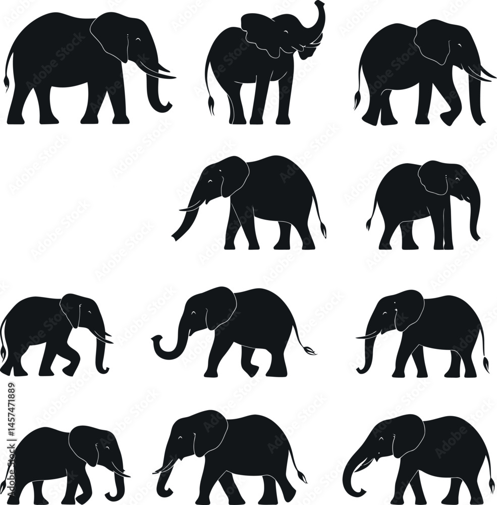 Fototapeta premium Adobe Illustrator Artwork