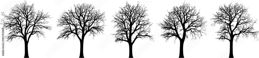 Adobe Illustrator Artwork Adobe Illustrator Artwork