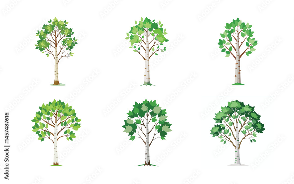 Fototapeta premium set of trees vector illustration