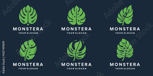 Minimalist leaves monstera design collection. simple, modern style illustrations.