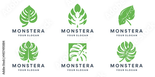 Collection of silhouette leaf elements. Set of tropical plants, leaf branch, palm, monstera leaves.