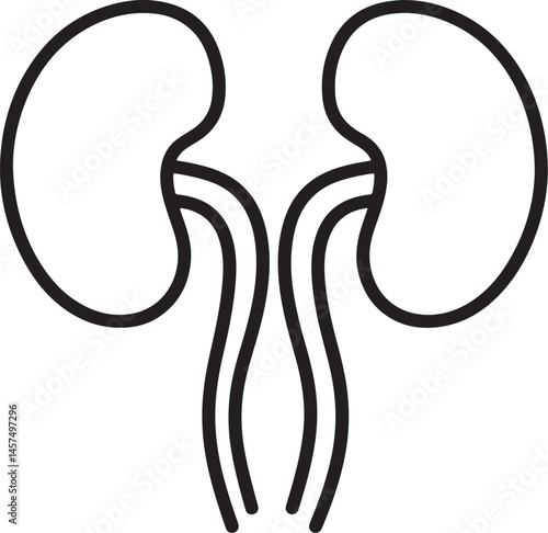 Urinary system Vector Silhouette