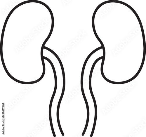 Urinary system Vector Silhouette